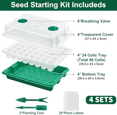 LATERN 4Pcs Plant Seedling Trays - Image 4