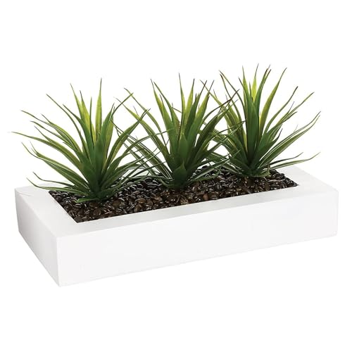 Well Home - Centro de Mesa Decorativo con 3 Plantas Aloe Vera H.17cm