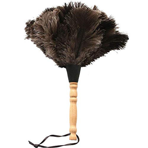 WYZXR Ostrich Feather Household Dust Brush (Small)