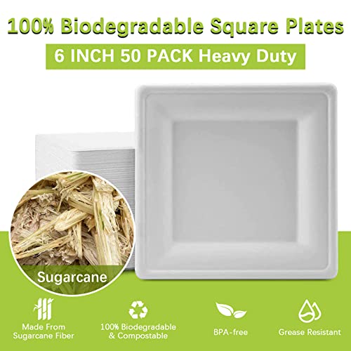 Bangshou 100% Compostable 6 Inch Square Plates [50 Pack], Heavy Duty Paper Plates White, Biodegradable Disposables Plates, Natural Sugarcane Bagasse Plates For Party Dinner Birthday Dessert Plates #TOP1