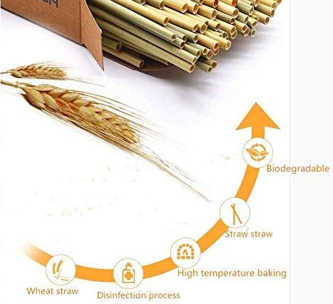 Super Idee 200 Weizenhalme füllung Nisthilfe Nisthülsen 20 cm lang für Wildbienen Insektenhotel Insektenhaus Durchmesser… – Bild 7