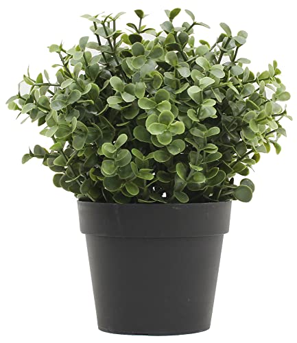 Verdelook Piantina Artificiale Decorativa Con Foglie In Pvc Simil Bosso, 9.5X9.5 H20 Cm, Verde, Piante Finte