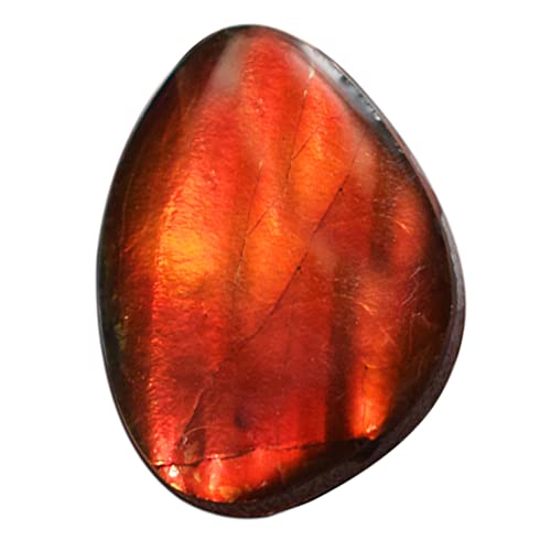 Ammolite canadienne naturelle : le cabochon rouge idéal pour vos bijoux d'été