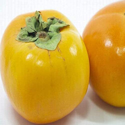 【西日本産】秀品 種なし柿 大玉限定 約7〜7.5kg