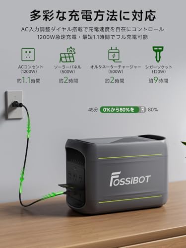 Amazon.co.jp: FOSSiBOT: 走行充電器