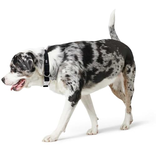 HUNTER Hundehalsung SOFTIE ALU-STRONG, Halsung in Nubukoptik aus Kunstleder, Made in Germany, Alu-Strong Steckverschluss, stufenlos verstellbar, weich & pflegeleicht, Farbe: schwarz, Größe: L