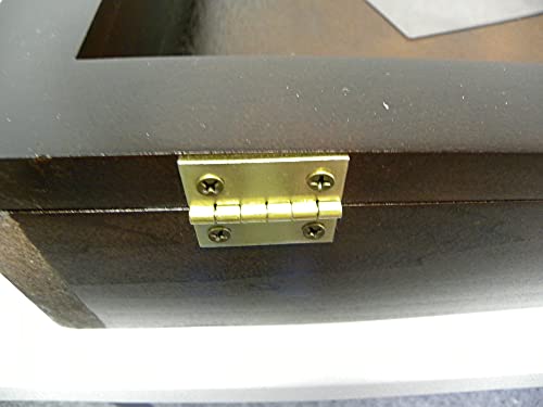 Trade Show Display Case P302B