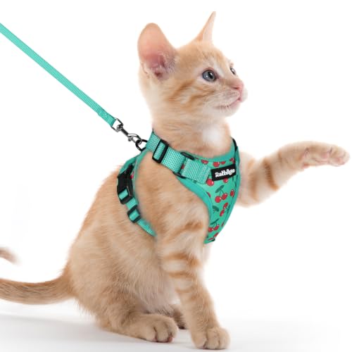 Image of rabbitgoo Cat Harness and Leash Set, Escape Proof Vest, Cherry Grove | Soft Breathable Mesh, Easy Adjustable Fit, Snap Buckles, Sturdy Clip, Reflective Strips, for Kittens & Small Cats Walks, Xxs