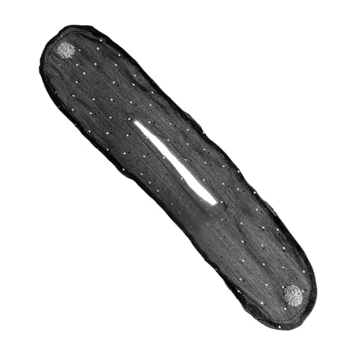 Lesunty Kids cqwA[J[ - OwApt`o[J[ - IȃwAX^COANZT[ ̃AbvhEpҁAAX^COSҁAZȃvtFbViAt@bVDƌ