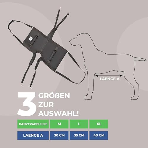 Pfaff Nature Pet® Hundetragehilfe Basic – Gehhilfe für Hunde aus Neopren, Mobilitätshilfe mit Schultergurt & Seitengriffen (XL)
