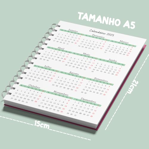 Agenda Escolar Infantil - Calendario 2025, Acompanhamento de provas, Dados do aluno, Recados, ensino