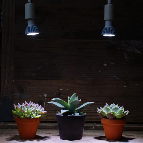 Plants NEXLIGHT 植物育成ライト 本体色ブラック 電球色① Amazon.co.jp: PLANTS NEXLIGHT mini PAR16 5w 1点 E17 育成ライト