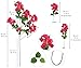 Tozeurty Bougainvillea Artificial 3 Stems 15branches Vibrant Pink Artificial Flowers Large Bougainvillea 36.2