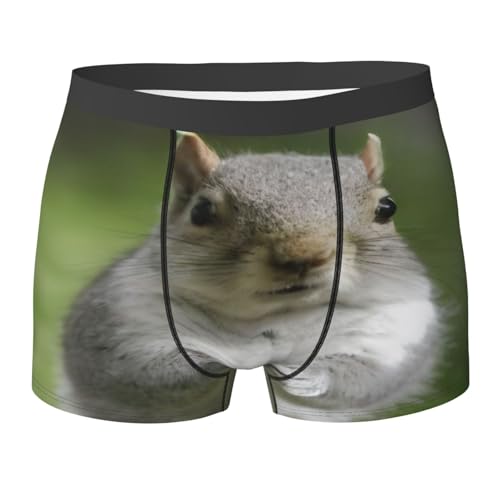 Squirrel Men'S Boxer Briefs, Soft Boxer Shorts, Breathable Microfiber Mens Trunks Underwear
