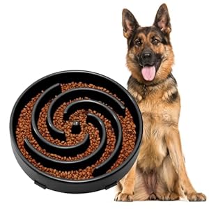JASGOOD Slow Feeder Dogs Bowl for Large Medium Dogs,Anti-Gulping Pet Slower Food Feeding Bowls Stop Bloat,Preventing Choking
