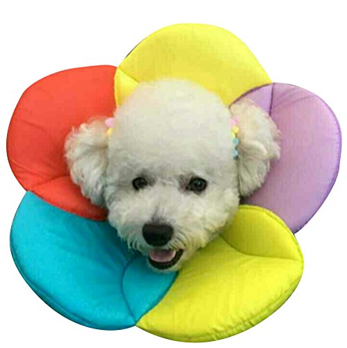 DELIFUR Collar de Cono para Perros Collar para Mascotas Cono para Mascotas Collares isabelinos para Gatos y Perros pequeños (L, Multicolor) Cover