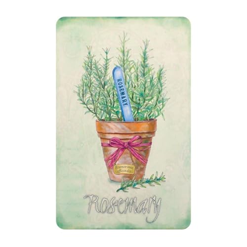 uLŔ K[fjO 20×30cm F:[Y}[ {^jJ n[uK[f g Ǐ CeA G AJ Be[W v[g NYANDELMO ND-0332-R04-F-1011-254