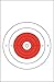 EZ2C Targets Style 12 (25 Pack) B-16 B16