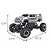NKOK Ready to Run Realtree R/C Toyota Tacoma Rock Crawler