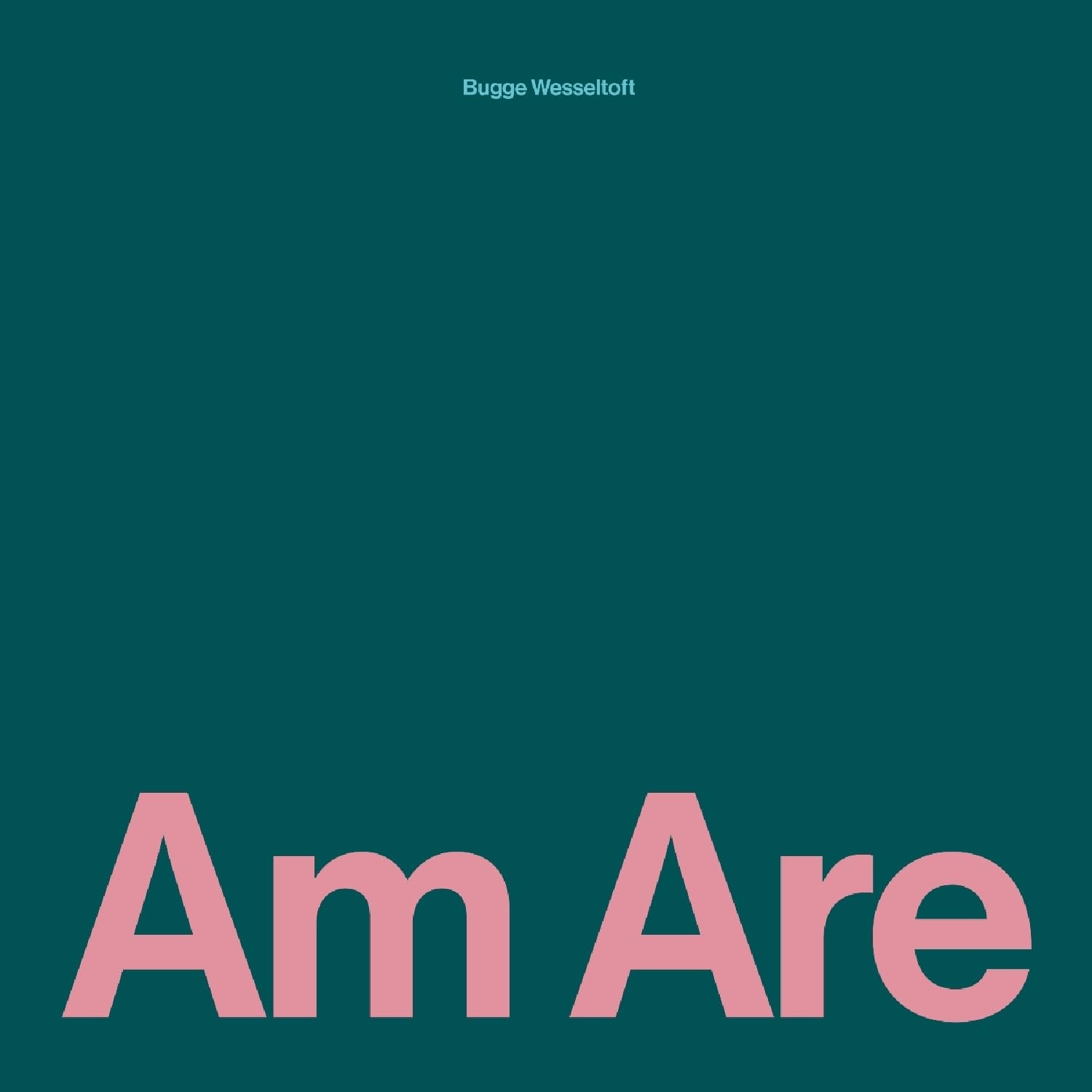 Am Are [VINYL]