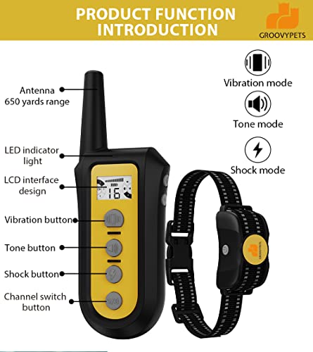 Remote Dog Training Collar Kit