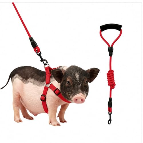 Image of Mini Pig Harness, Adjustable Small Pig Harness with Leash Infinity Style Lead and Soft Foam Handle for Small to Medium Pet Pigs Walking Training Jogging (Red, S)