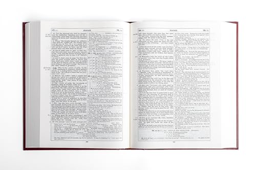 Image of The Companion Bible: Enlarged Type Edition