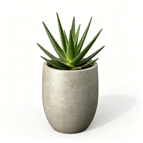 Kante 11.8 Small Concrete Planter Compact Plant Pot with Drainage Hole & Rubber Plug Lightweight Cement Container for Indoor Desktop Windowsill Home Office Gift for Kids Students