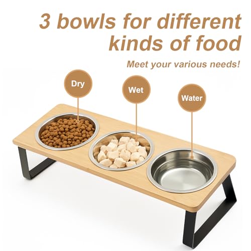 Katzennapf Erhöht mit 3 Futternapf Edelstahl Futterstation napfset katzenfressnapf katzenfutternapf Fressnapf und Wassernapf für Katzen und kleine Hunde (15°gekippte Futterstation)