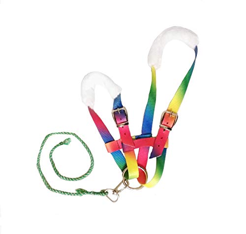 Rainbow hobby horse halter | Hobbyhorse accessories | Stick horse gift