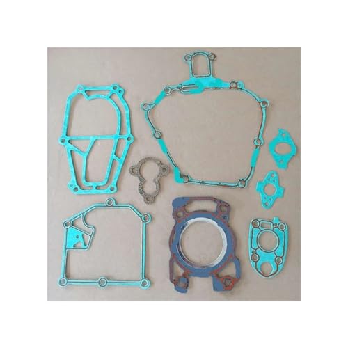 Joint de moteur contre les fuites d'huile pour 4 temps 2.6 CV Gold