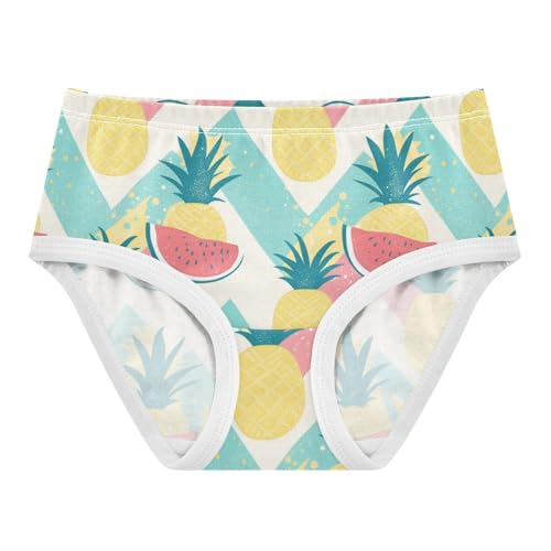 Wusikd Pineapples Watermelons Girls' Underwear Cotton Chevron Girls Briefs Soft Toddler Underwear 2T