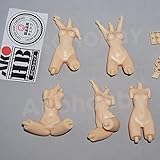 [未塗装] 1/12 5個セット 素体 フィギュア 30ms 水着 ジェネ レジン AKO 改造 パーツ セット 身体 胸パーツ トウカイテイオー ウマ娘 皇巫 スサノヲ 蒼炎 アマテラス レガリア 轟雷 PUNI☆MOFU ソフィエラ