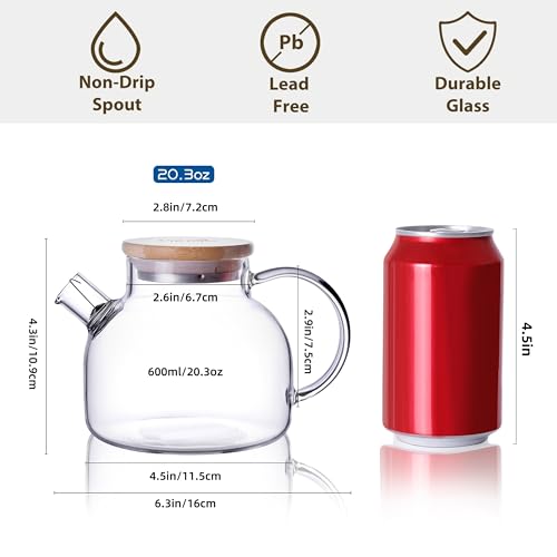 Save 21% on CNGLASS Glass Teapot with Code FDDZ9OPX - Image 2