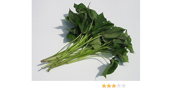 最新最全の アサイヤシの苗10本 果物 - www.aleamex.mx