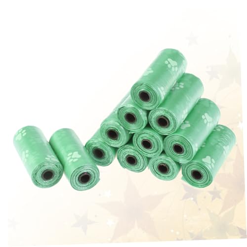 VALICLUD 24[ ybgp܈S~  Ŕjɂ ĝĂ񂿏 OLv nCLO LȂΐF}i[