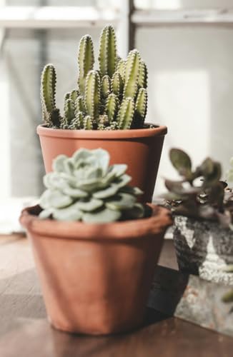 Simply Happy: A Little Book of Joy (Minimalist Basics)