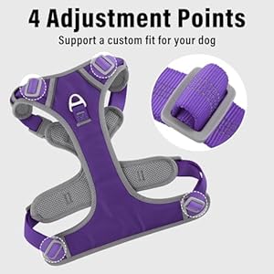   Plutus-Pet-No-Pull-Dog-Harness-Release-At-Neck-Reflective-Adjustable-Dog-Vest-Harness-Easy-Control-Handle-for-Walking-for-Small-Medium-Large-Dogs-Purple-M