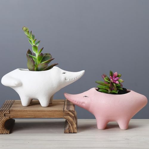Jolis pots de fleurs en céramique crocodile à offrir pour la maison - 5
