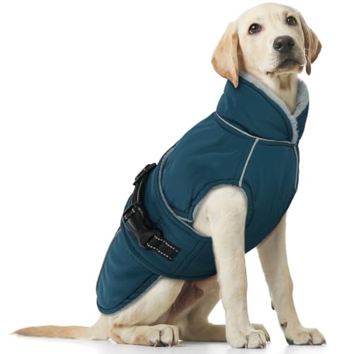 Hundemantel Grosse Hunde, Hundemantel Winter wasserdichte Hunde-Schneejacke Winter Hundepullover Fleece Winterjacke Winddichter(Dunkelgrün, L)