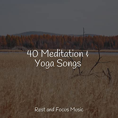 Play 40 Meditation & Yoga Songs by Tinnitus Aid, Tibetan Singing Bowls