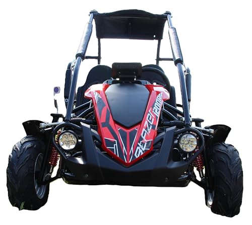 Trailmaster Blazer i200R (! Electic !) Go Kart Youth Go Kart. Ages 10 and up, Mid Size Kids cart, Body Kit with Reverse. (Blue)