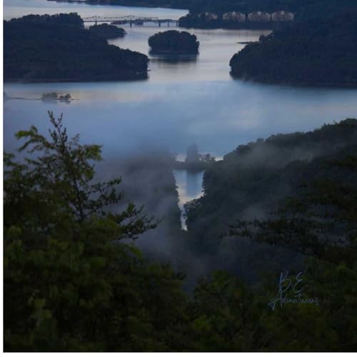 『Blue Zone Principles: Living with Purpose』のカバーアート