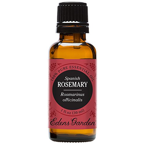 Edens Garden Rosemary Spanish Essential Oil, 100% Pure Therapeutic Grade (Cold Flu & Inflammation) 30 ml