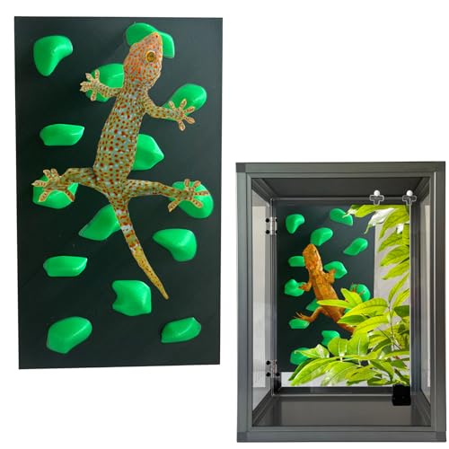 Rock Climbing Wall for Bearded Dragons Climbing Rock Wall Grips for Bearded Dragons Tank Accessories Reptiles Toy (Green)