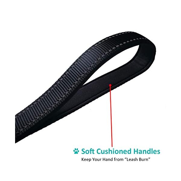 DDSCOLOUR 3M Reflective Dog Leash 5ft 6ft Long-Traffic Padded Two Handle, Heavy Duty Reflective Safety Training Leash, Perfect for Large or Medium Dog, Dual Handles Dog Leash,Black DDSCOLOUR 3M Reflective Dog Leash 5ft 6ft Long-Traffic Padded Two Handle, Heavy Duty Reflective Safety Training Leash, Perfect for Large or Medium Dog, Dual Handles Dog Leash,Black