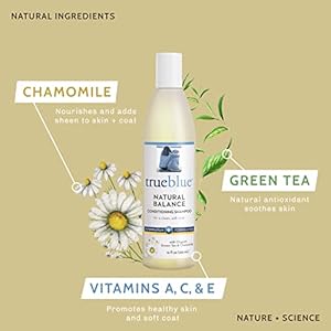 TrueBlue Natural Balance Conditioning Dog Shampoo with Green Tea & Chamomile - Cleansing Wash, Deodorizing, Moisturizing – Toxin Free, Natural Botanical Blend – Tearless Cleaner – 12 Fl. Oz. TrueBlue Natural Balance Conditioning Dog Shampoo with Green Tea Chamomile Cleansing Wash Deodorizing Moisturizing–Toxin Free Natural Botanical Blend–Tearless Cleaner–12 Fl Oz