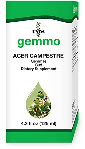Maple Bud Extract (Acer campestre)