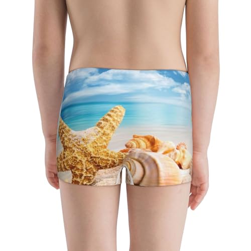 Boys' Cotton Boxer Brief Soft Underwear-Beach Starfish Shell3