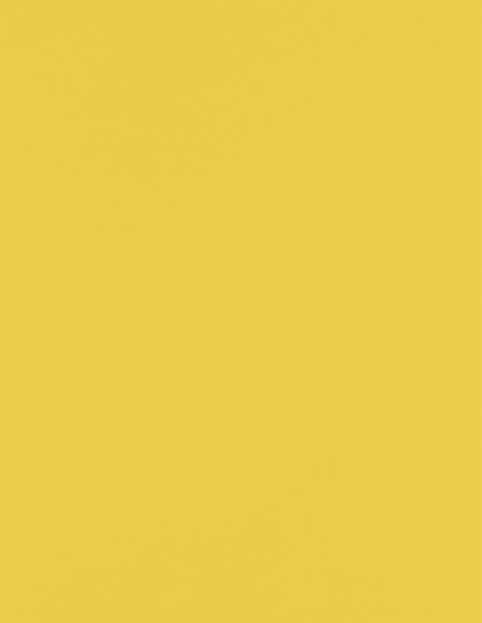 8 1/2 x 11 papier - Goldenrod (250 Ilość.)